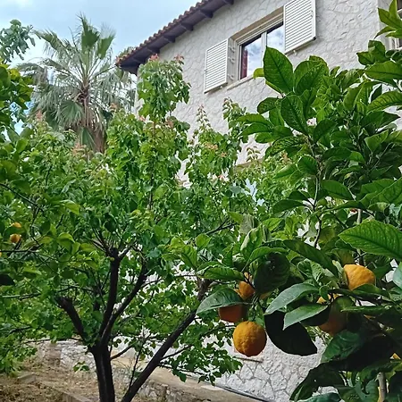Casa vacanze Garden - Wenige Schritte Ans *