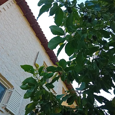 Casa vacanze Garden - Wenige Schritte Ans *